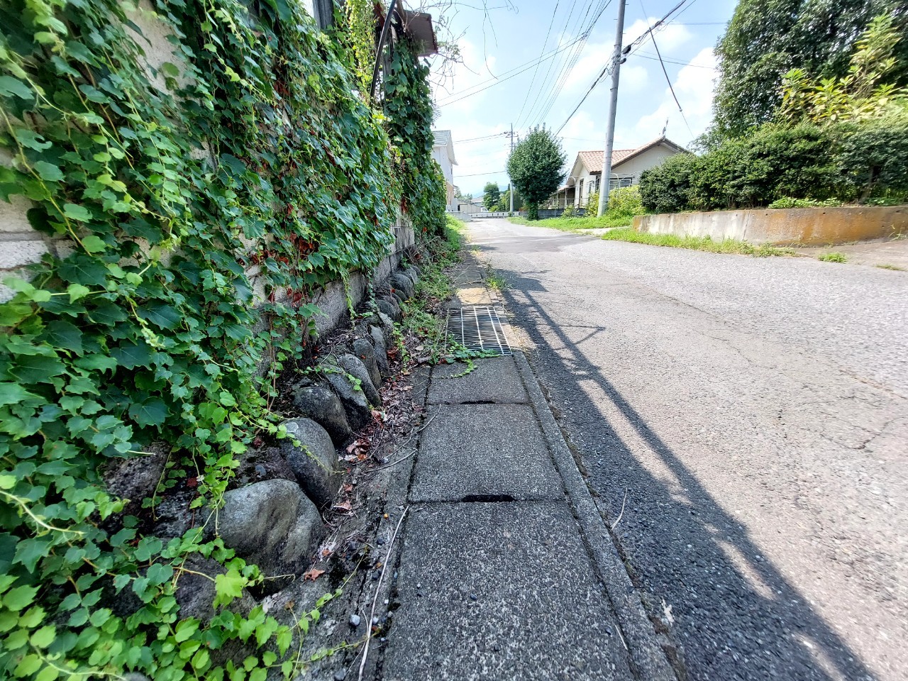 物件の外観・内観画像